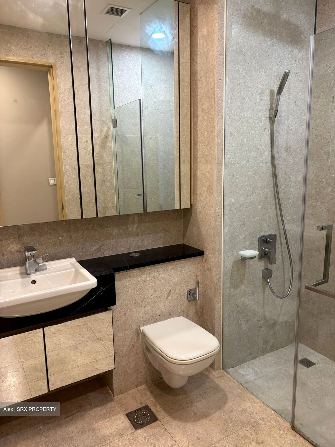 The Boutiq (D9), Apartment #547296081
